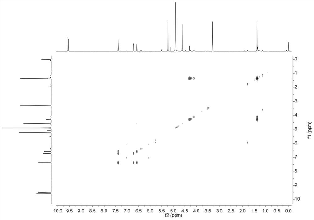 Furan ring derivative and application thereof in preparation of medicine with immunosuppressive activity