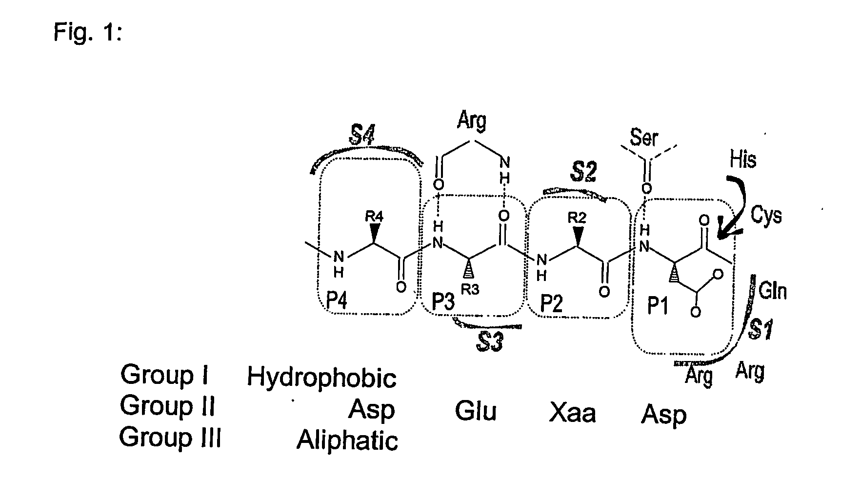 Use of caspase enzymes for maturation of engineered recombinant polypeptide fusions