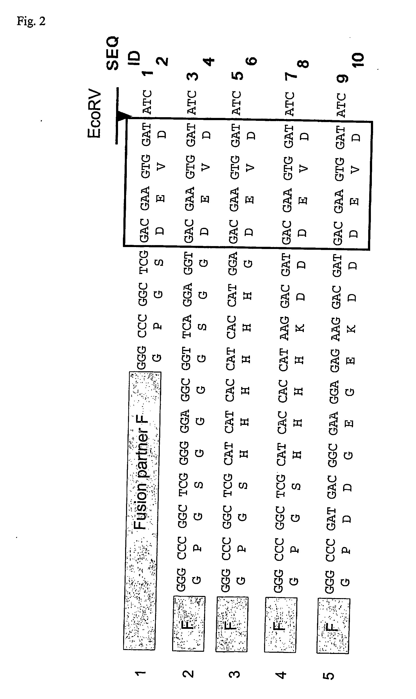 Use of caspase enzymes for maturation of engineered recombinant polypeptide fusions