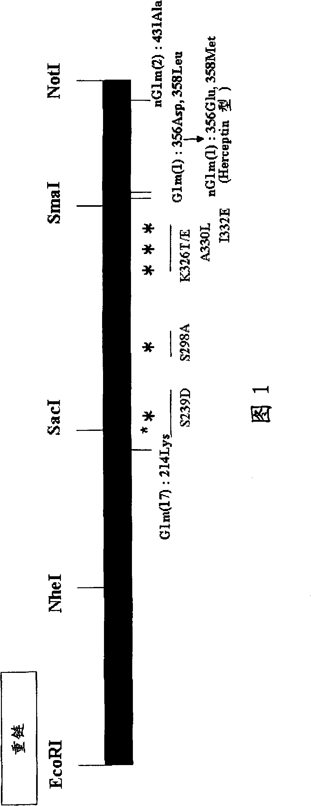 Anti-glypican-3 antibody