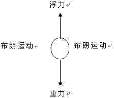 Preparation method and application of nano-iron particles