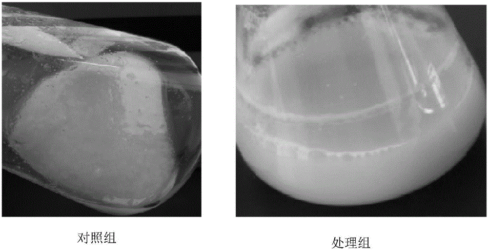 Pseudomonas aeruginosa and application thereof