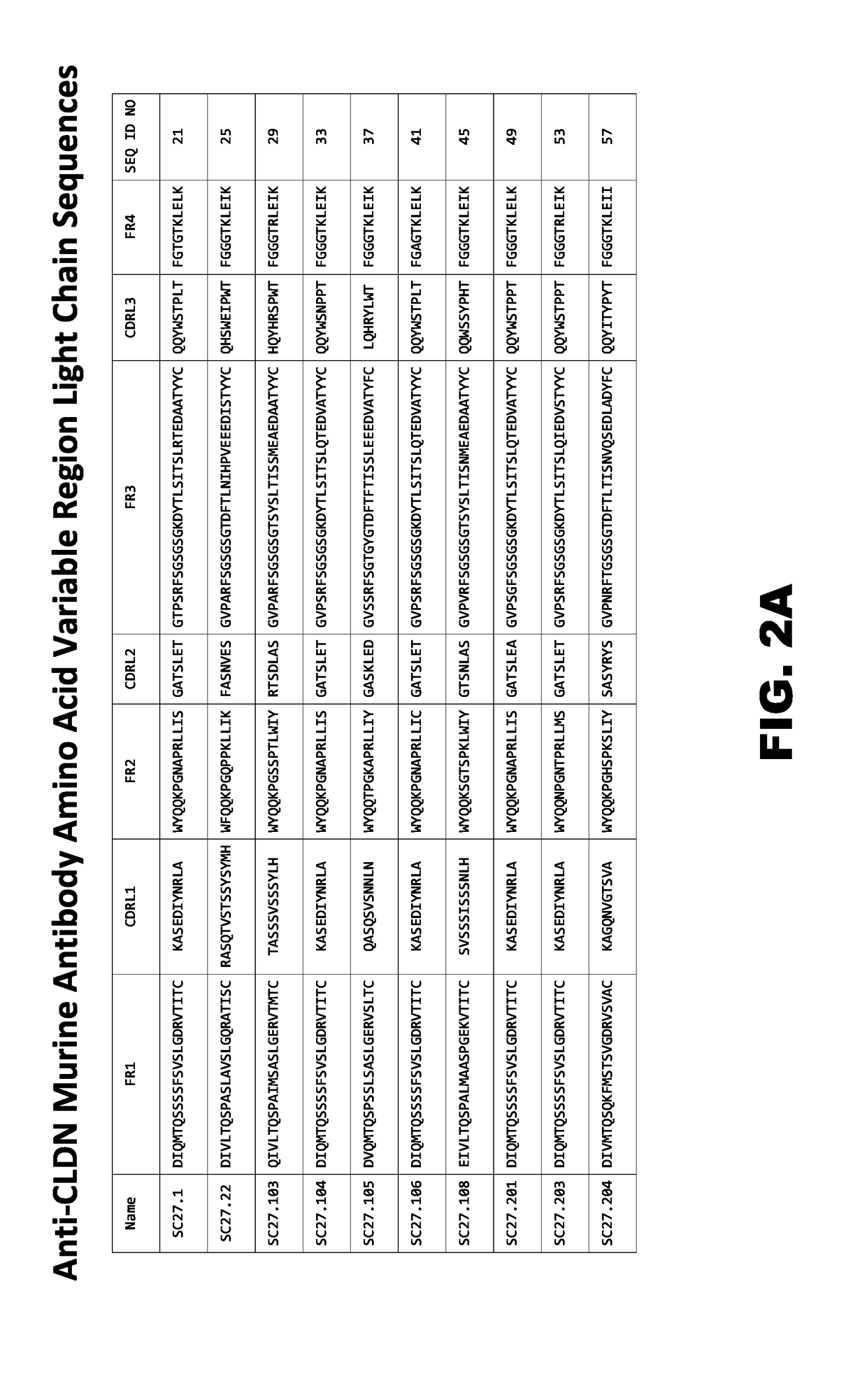 Novel Anti-claudin antibodies and methods of use