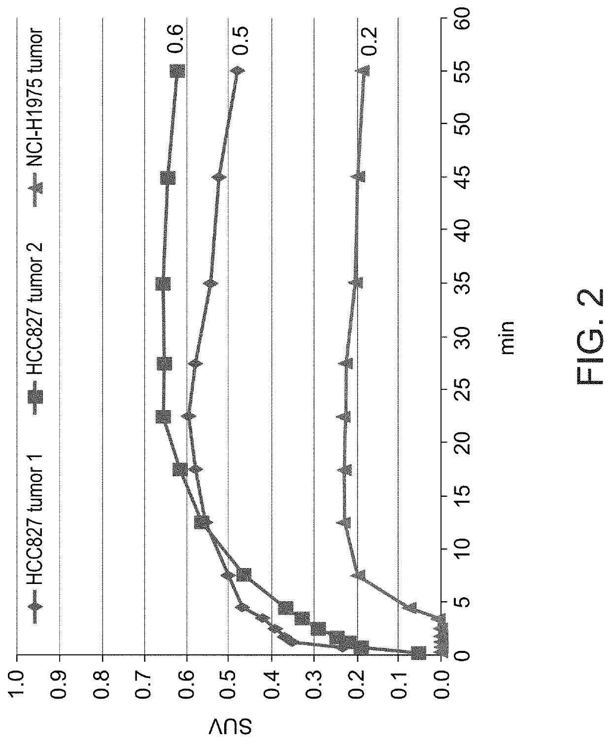 Radiolabeled erlotinib analogs and uses thereof