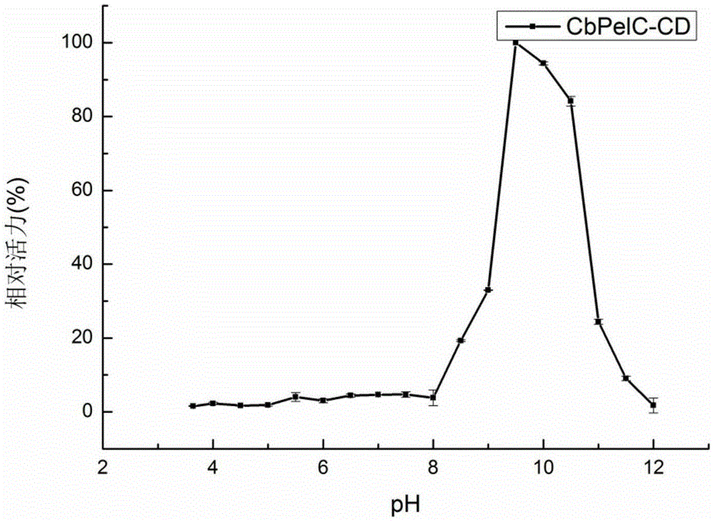 Improved specific activity mutant thermophilic thermophilic alkaline pectate lyase gene, engineering bacterium, enzyme and their application