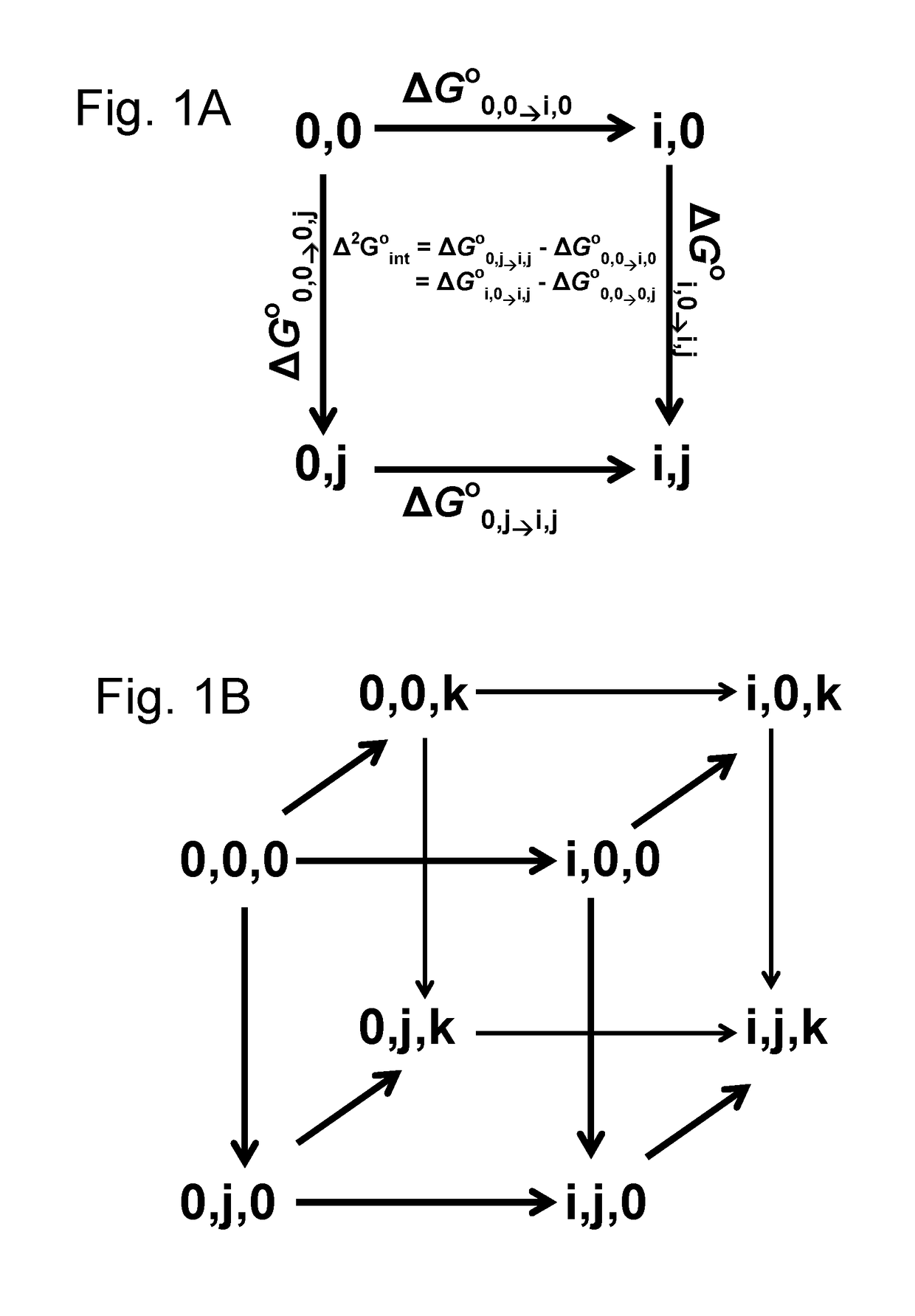 D-stereospecific aminoacyl-trna synthetase and method of producing d-stereospecific aminoacyl-trna synthetase