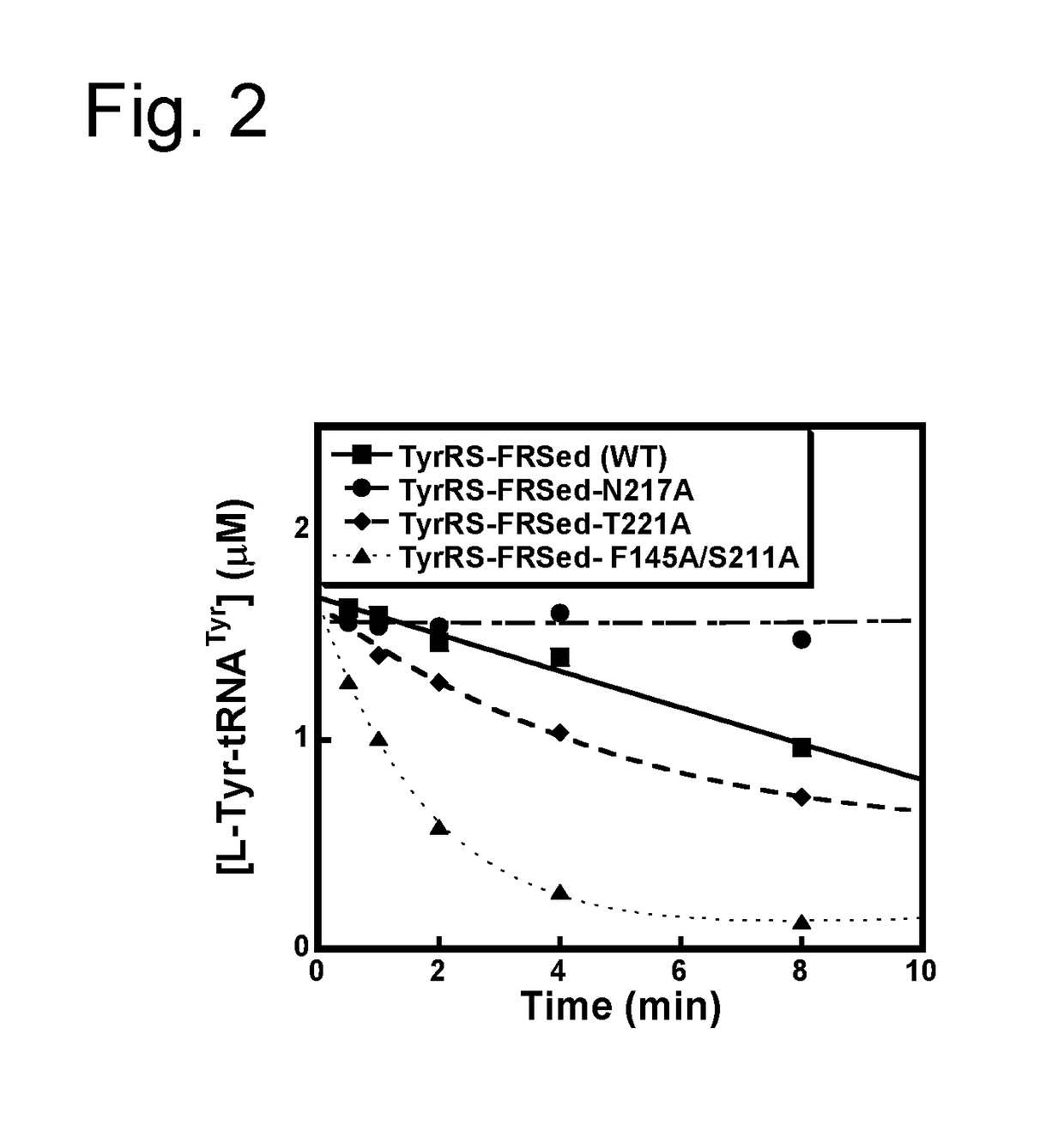 D-stereospecific aminoacyl-trna synthetase and method of producing d-stereospecific aminoacyl-trna synthetase