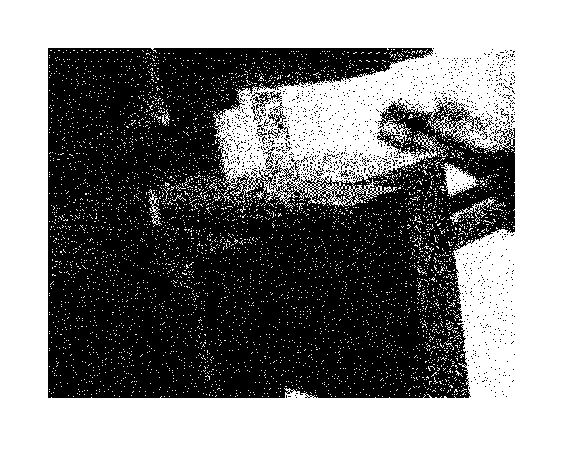 Composites comprising collagen extracted from sarcophyton sp. coral