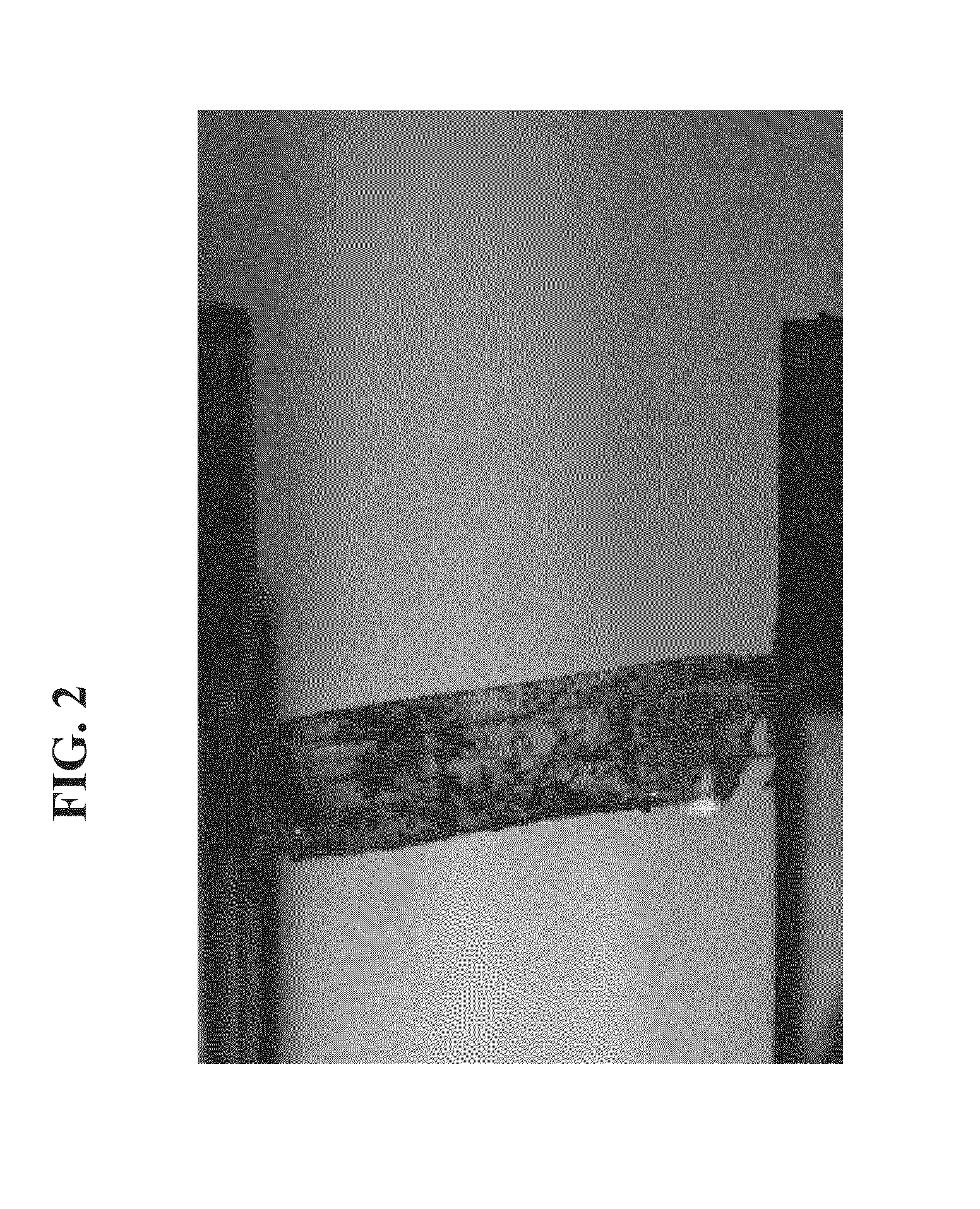 Composites comprising collagen extracted from sarcophyton sp. coral