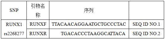 Primer for detecting gene polymorphism of RUNX1 rs2268277 and PCR (Polymerase Chain Reaction) method of primer