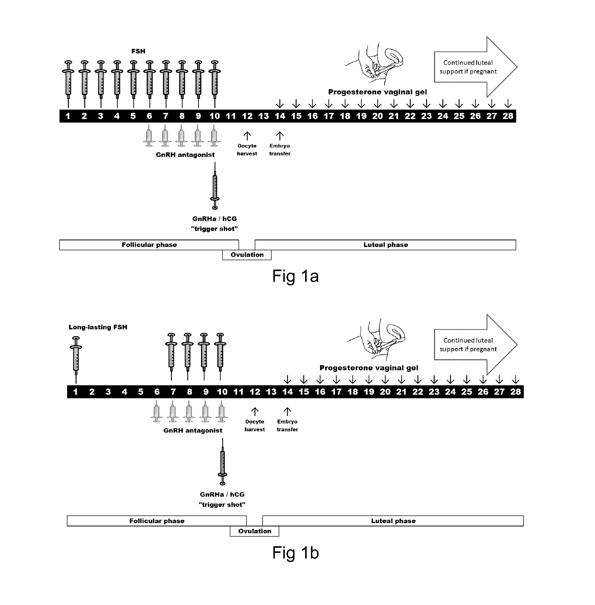 Long acting biologically active luteinizing hormone (LH) compound