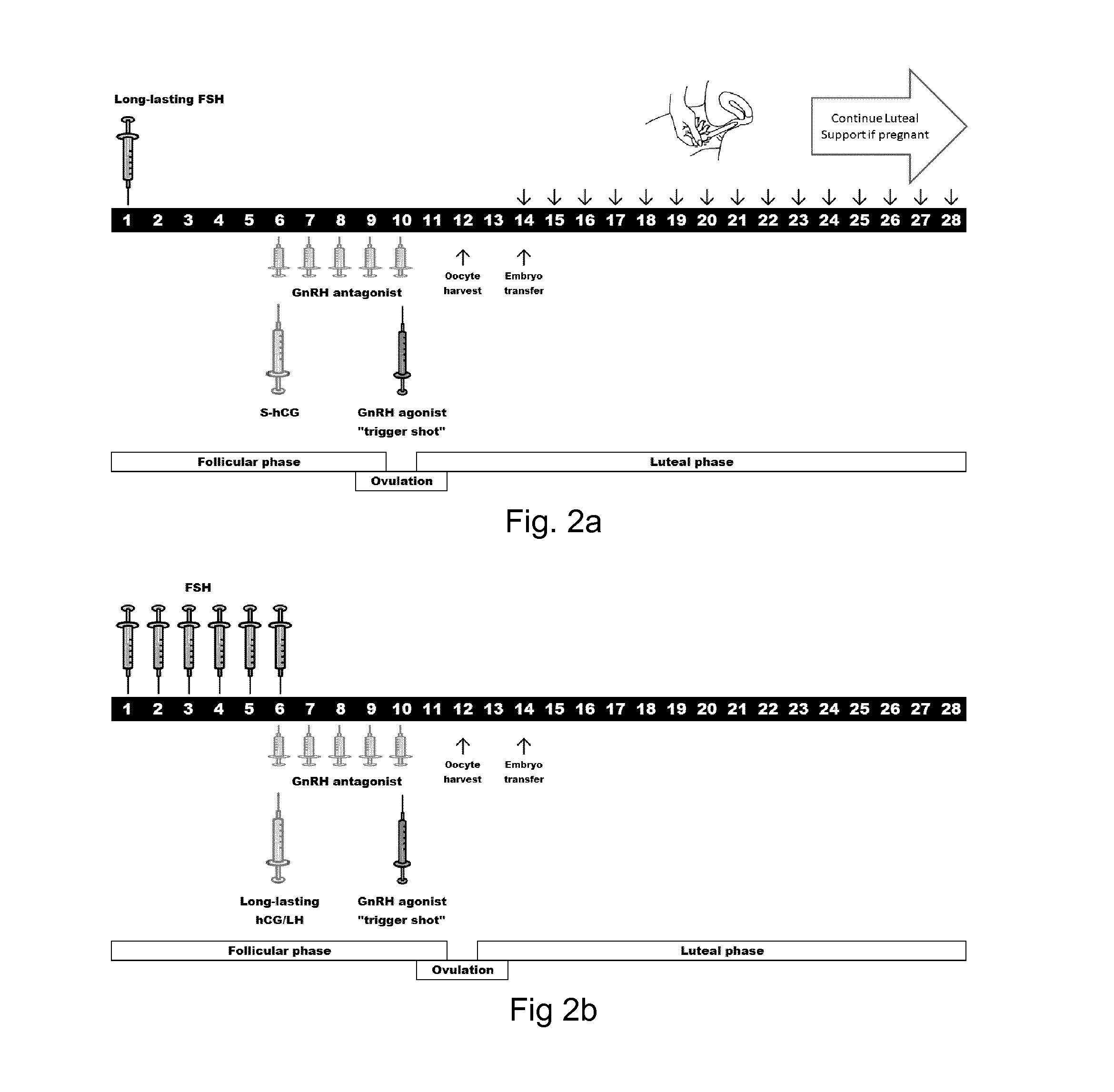 Long acting biologically active luteinizing hormone (LH) compound