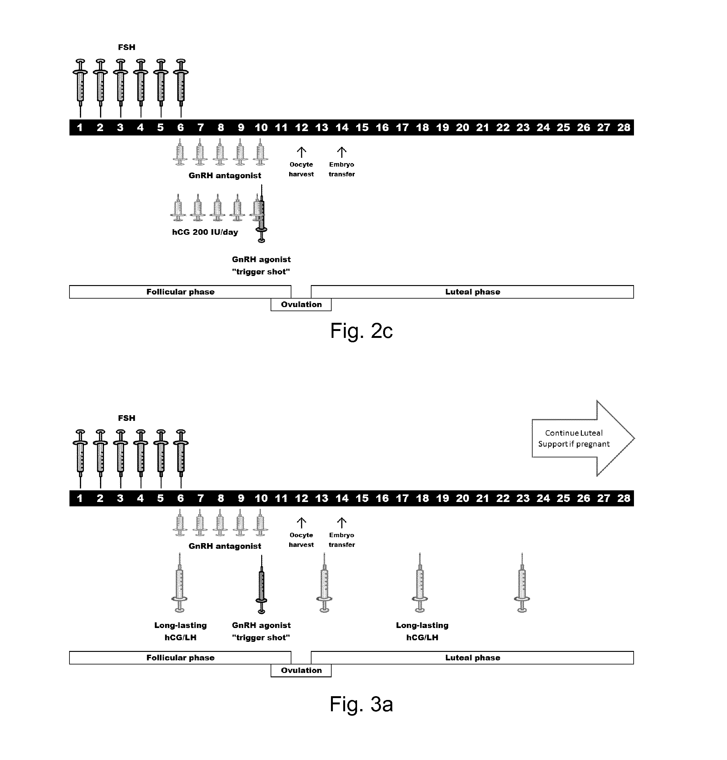 Long acting biologically active luteinizing hormone (LH) compound