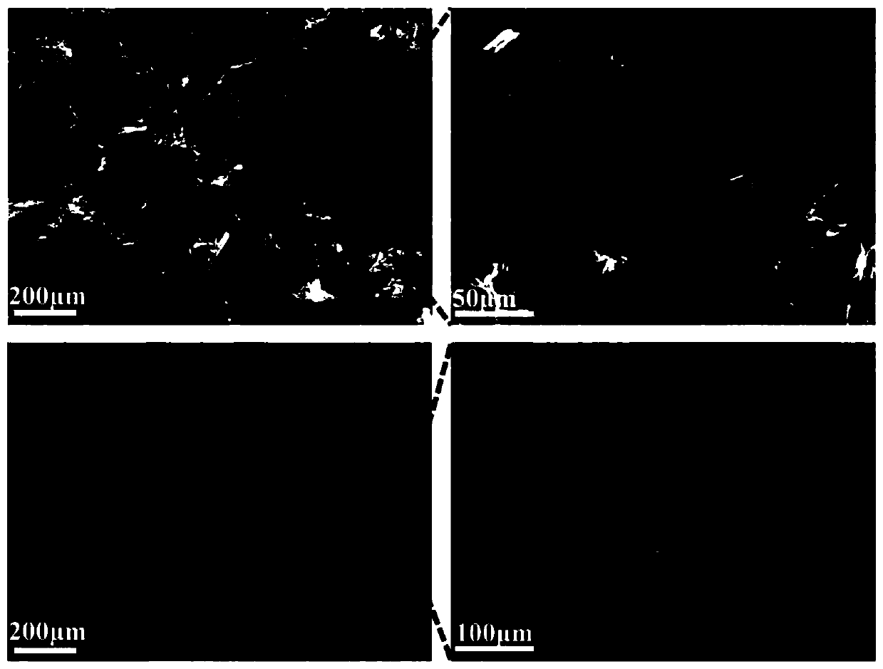 Biomass-based hydrogel adsorbent of immobilized yeast as well as preparation method and application of biomass-based hydrogel adsorbent