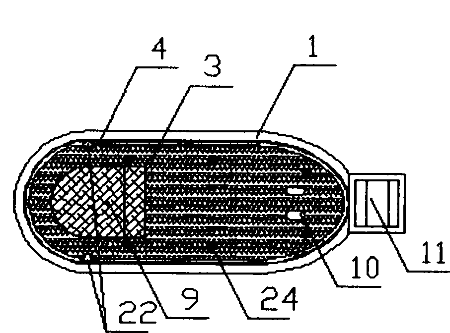 Footbath shoe