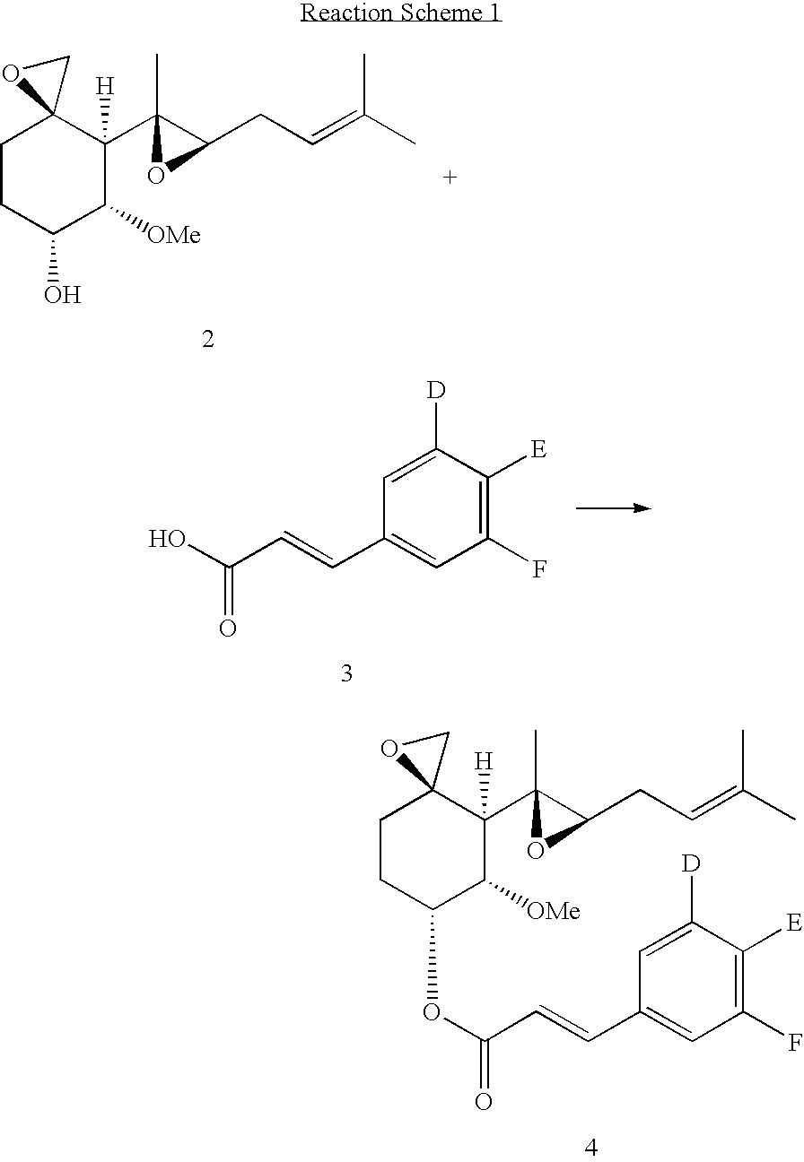 Fumagillol derivatives or method for preparation of fumagillol derivatives, and pharmaceutical compositions comprising the same