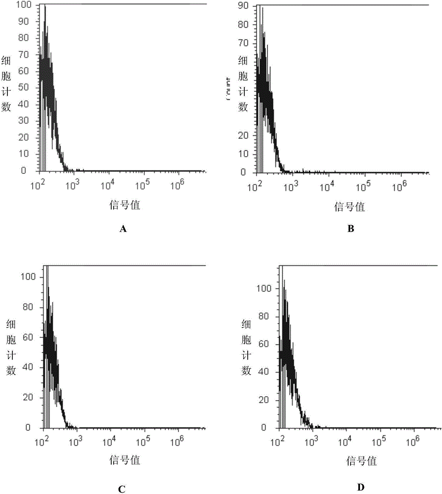 Polypeptide for specifically targeting human epidermal growth factor receptor 2 (HER2) protein