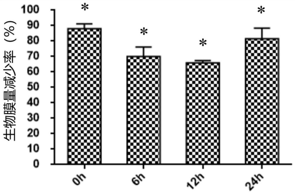 A method for inhibiting streptococcus mutans and candida albicans bibacterial biofilm