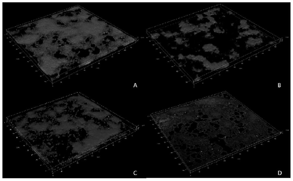 A method for inhibiting streptococcus mutans and candida albicans bibacterial biofilm