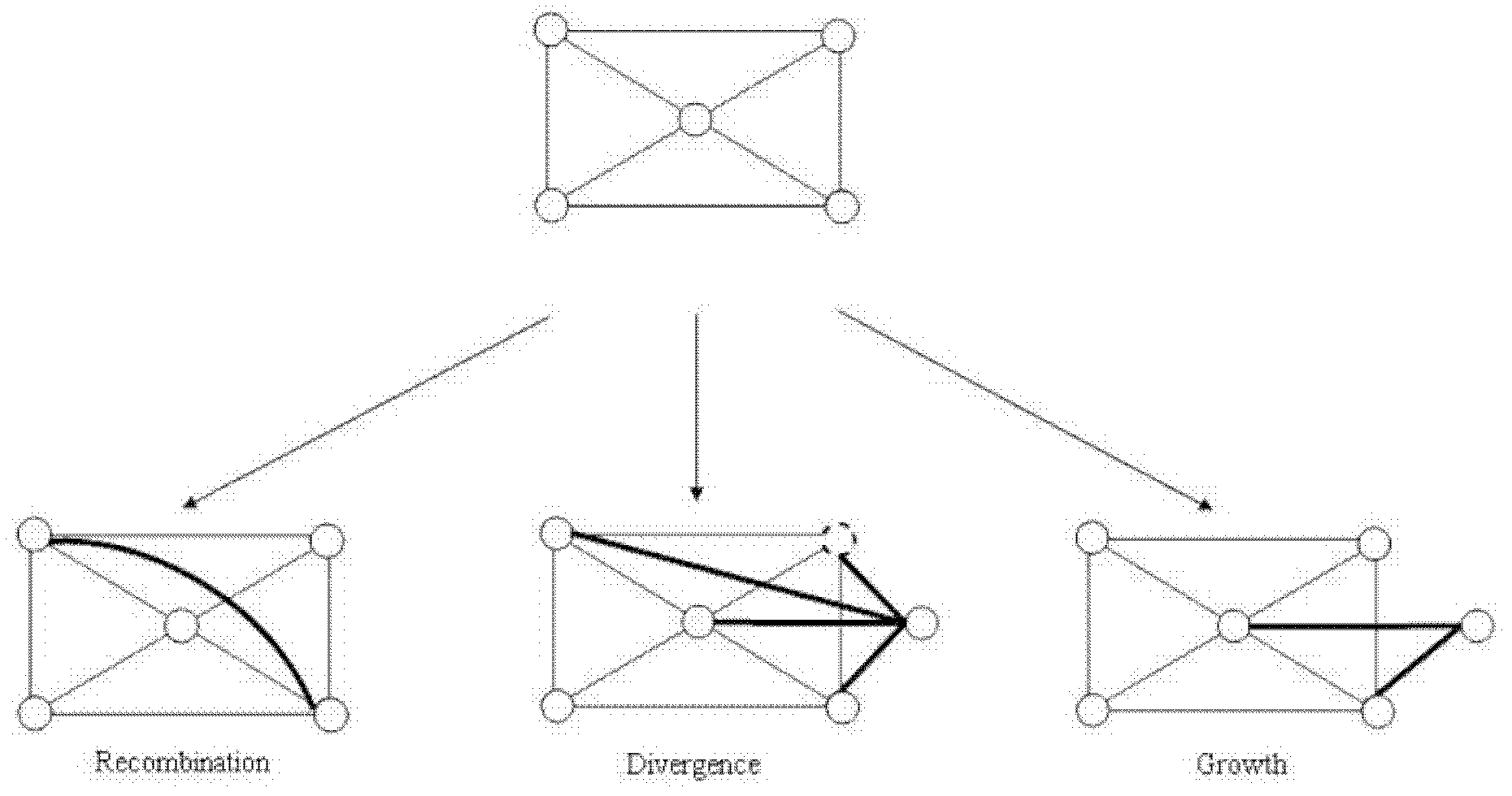 Construction method of novel biological network model