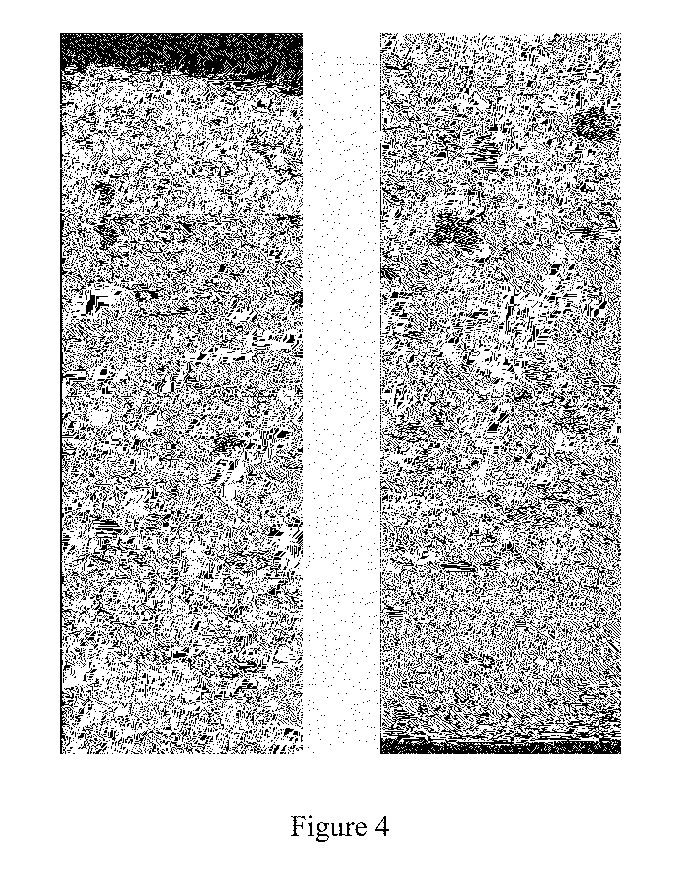 Method for preparing high-performance tantalum target