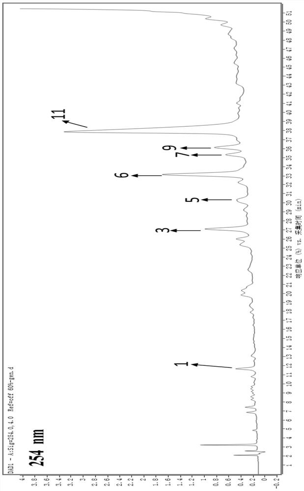 Polygonum viviparum extract as well as preparation method and application thereof