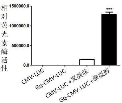 g tetramer covalent coupling dna molecule and dna self-transfection kit and application