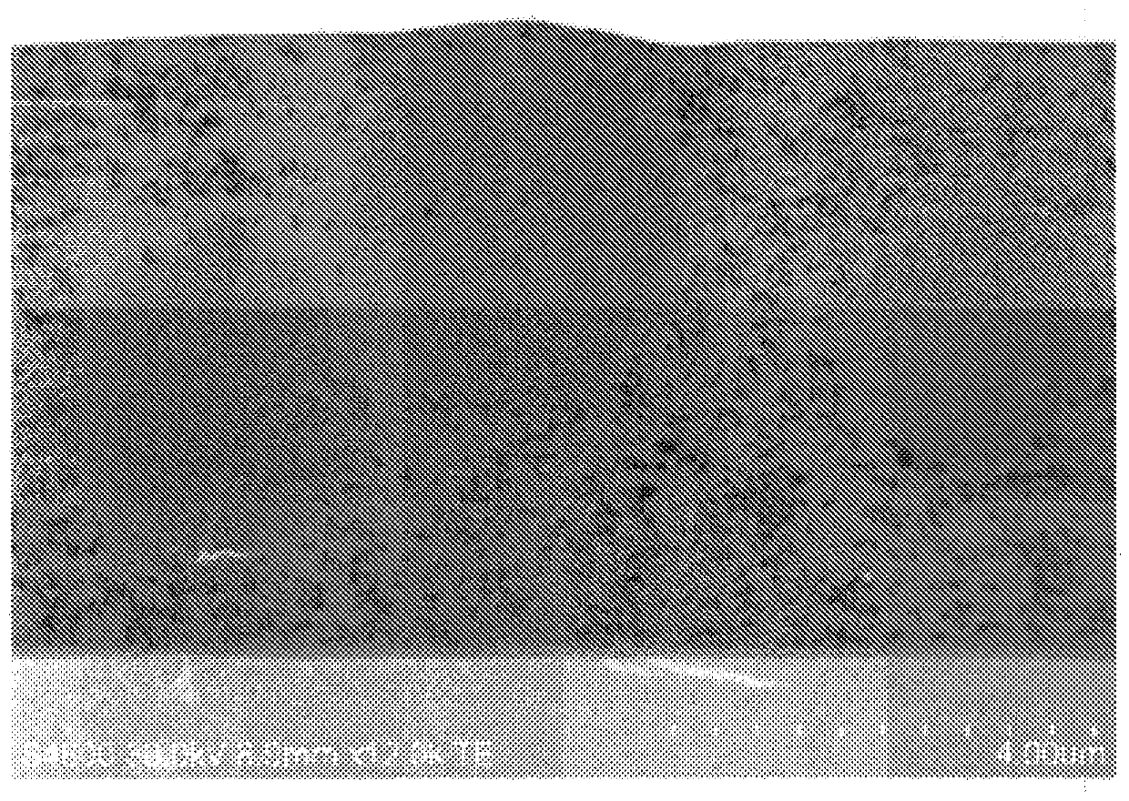 Touch panel, display device, optical sheet, selection method of optical sheet, and manufacturing method of optical sheet