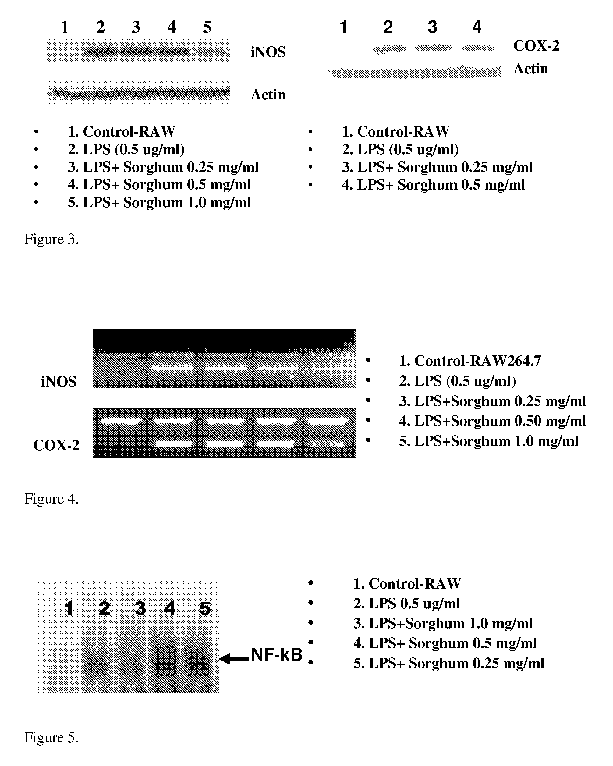 Sorghum Extract Compositions