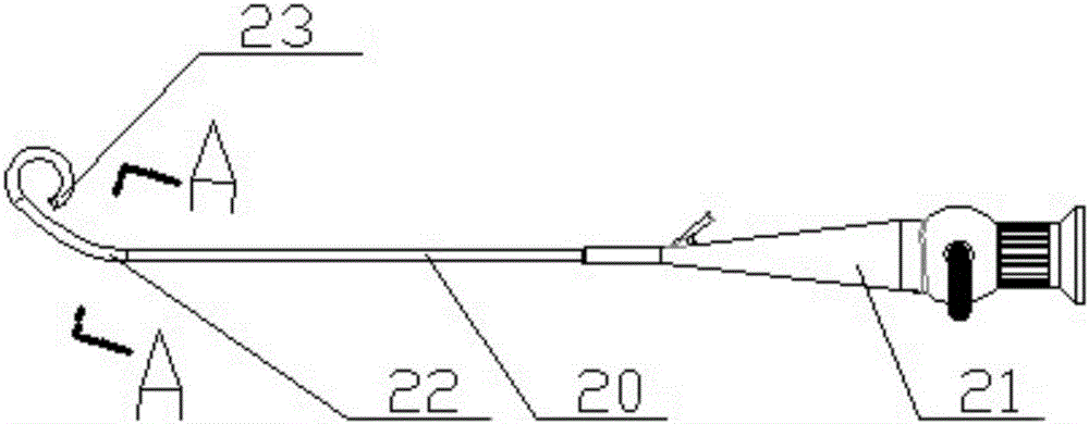 Bendable endoscope provided with tail end passively connected in a bent mode