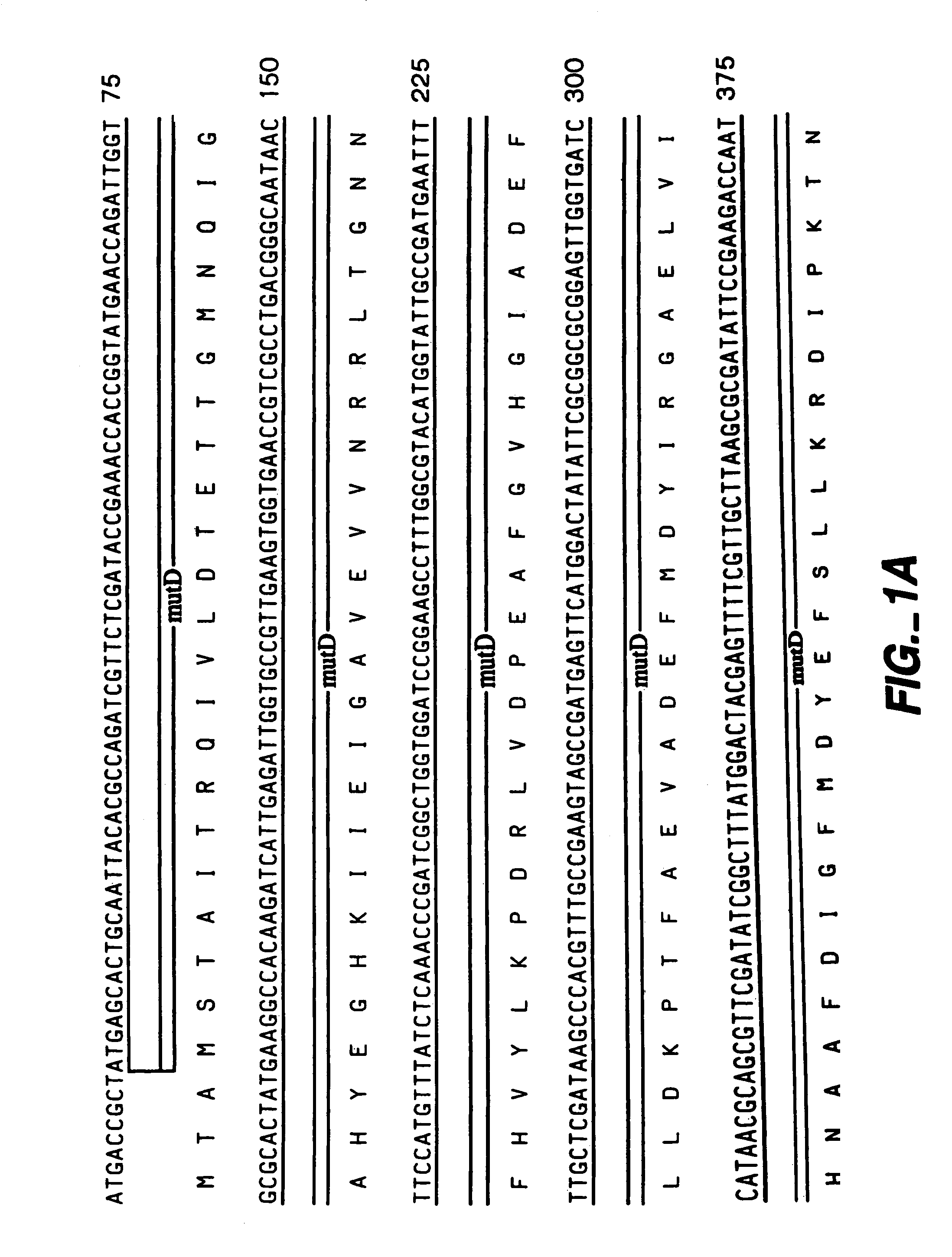 Directed evolution of microorganisms