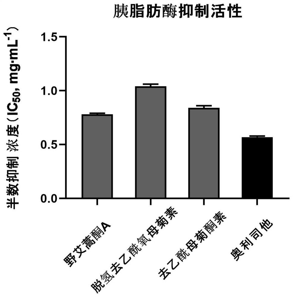 Application of dehydrodeacetoxychamomile or deacetylchamomile ketone in preparation of hypoglycemic and hypolipidemic drugs