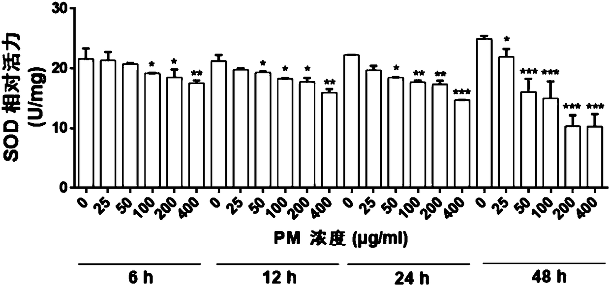 Traditional Chinese medicine composition and application thereof