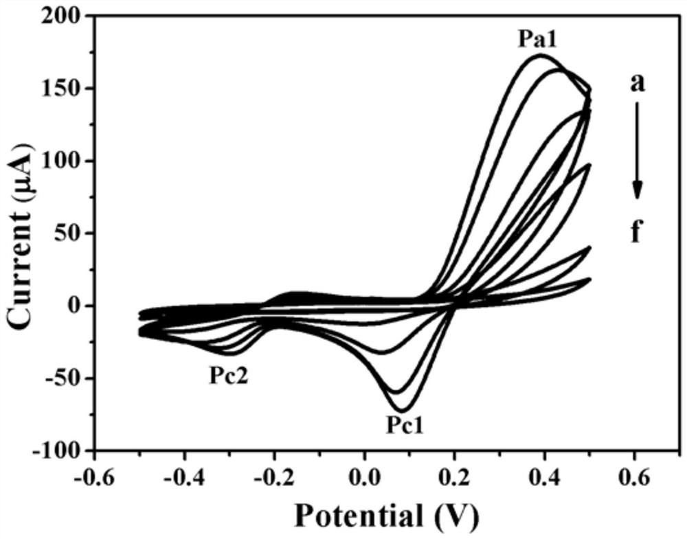 A method for enhancing the luminescence intensity of squamous cell carcinoma antigen in electrochemiluminescence detection