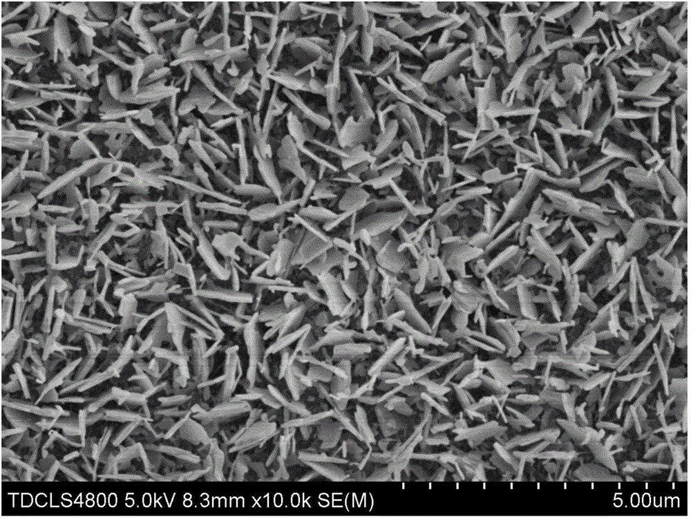 Bismuth tungstate nano-film with photocatalytic performance as well as preparation method and application thereof