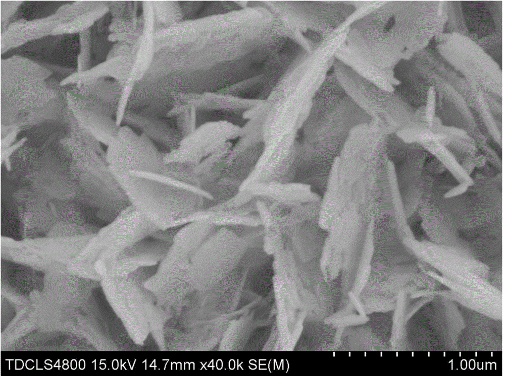 Bismuth tungstate nano-film with photocatalytic performance as well as preparation method and application thereof