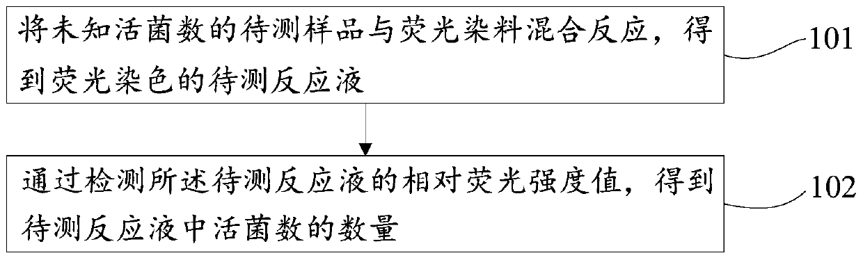 Fluorescence detection method of total number of living bacteria