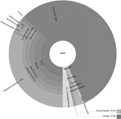 Method and device to identify microbial species from sample