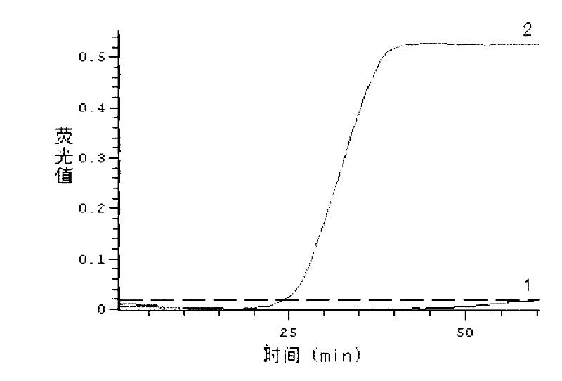 Method for preparing reverse transcription loop-mediated isothermal amplification (RT-LAMP) reaction kit for detecting bovine viral diarrhea viruses