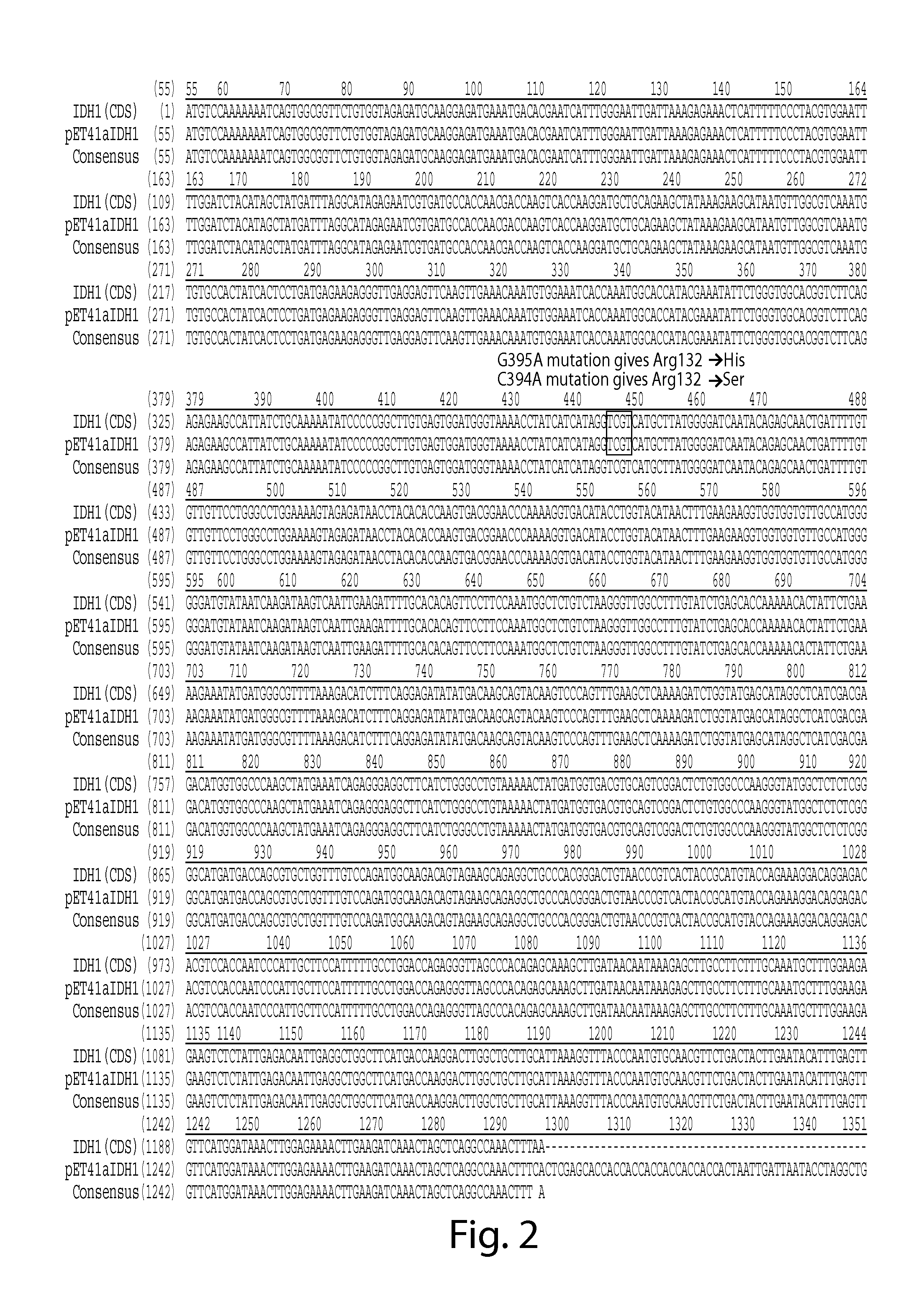 Methods and compositons for cell-proliferation-related disorders