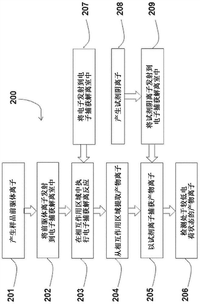 Methods and systems for analyzing proteins by electron capture dissociation