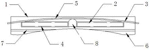 Special glass slide for microbiological inspection