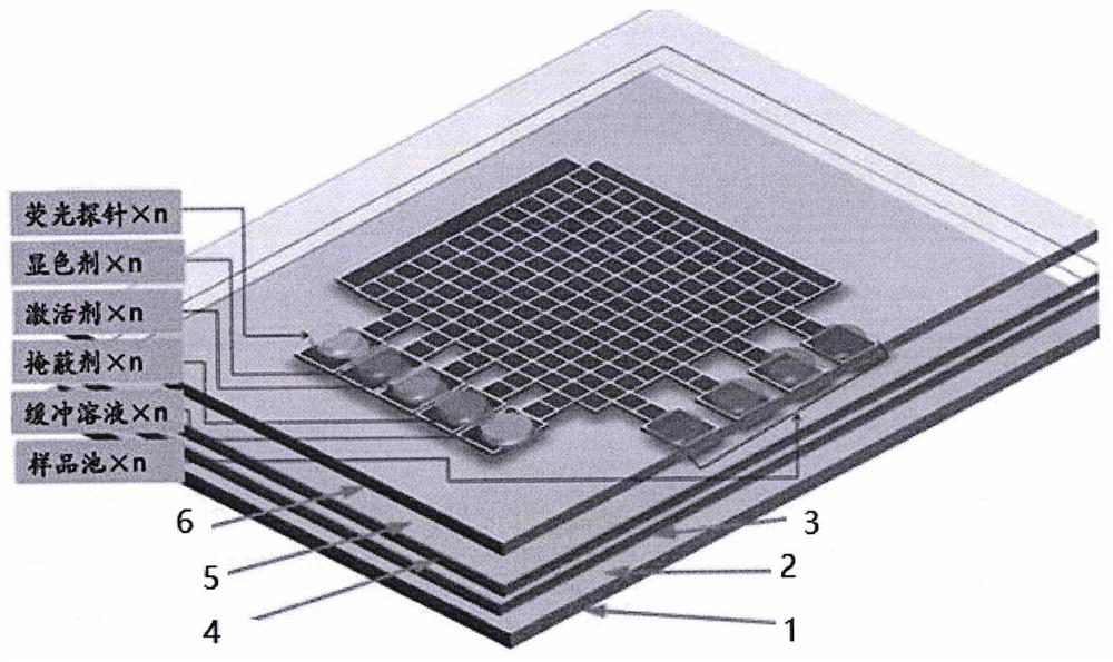 Digital microfluidic chip system and method for determination of heavy metal ions in water