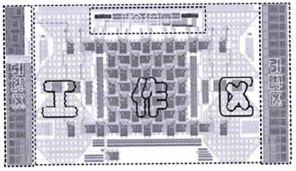 Digital microfluidic chip system and method for determination of heavy metal ions in water