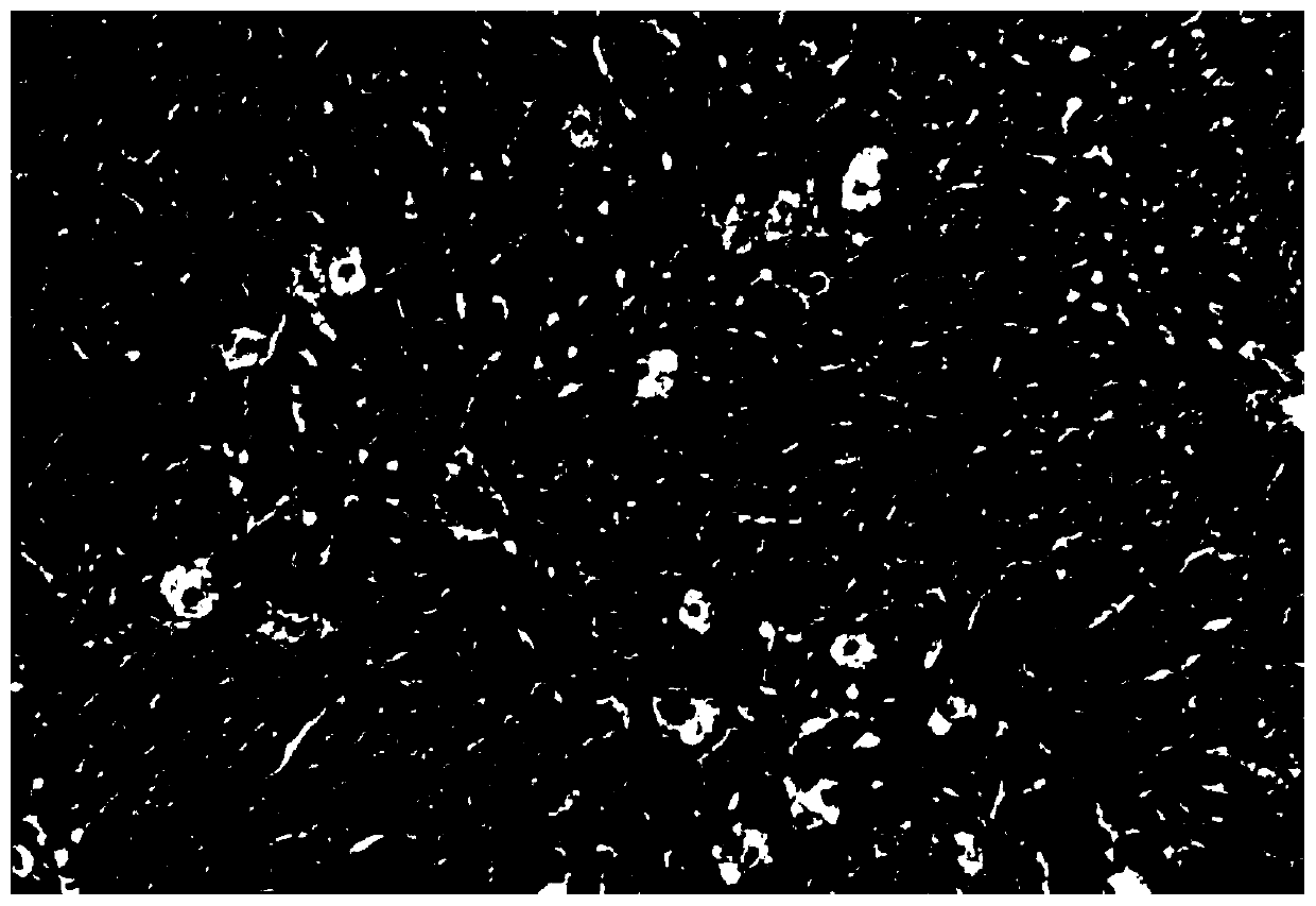 Application of tetracera asiatica roots and extract thereof in preparation of medicine for treating and/or preventing chemical liver injury