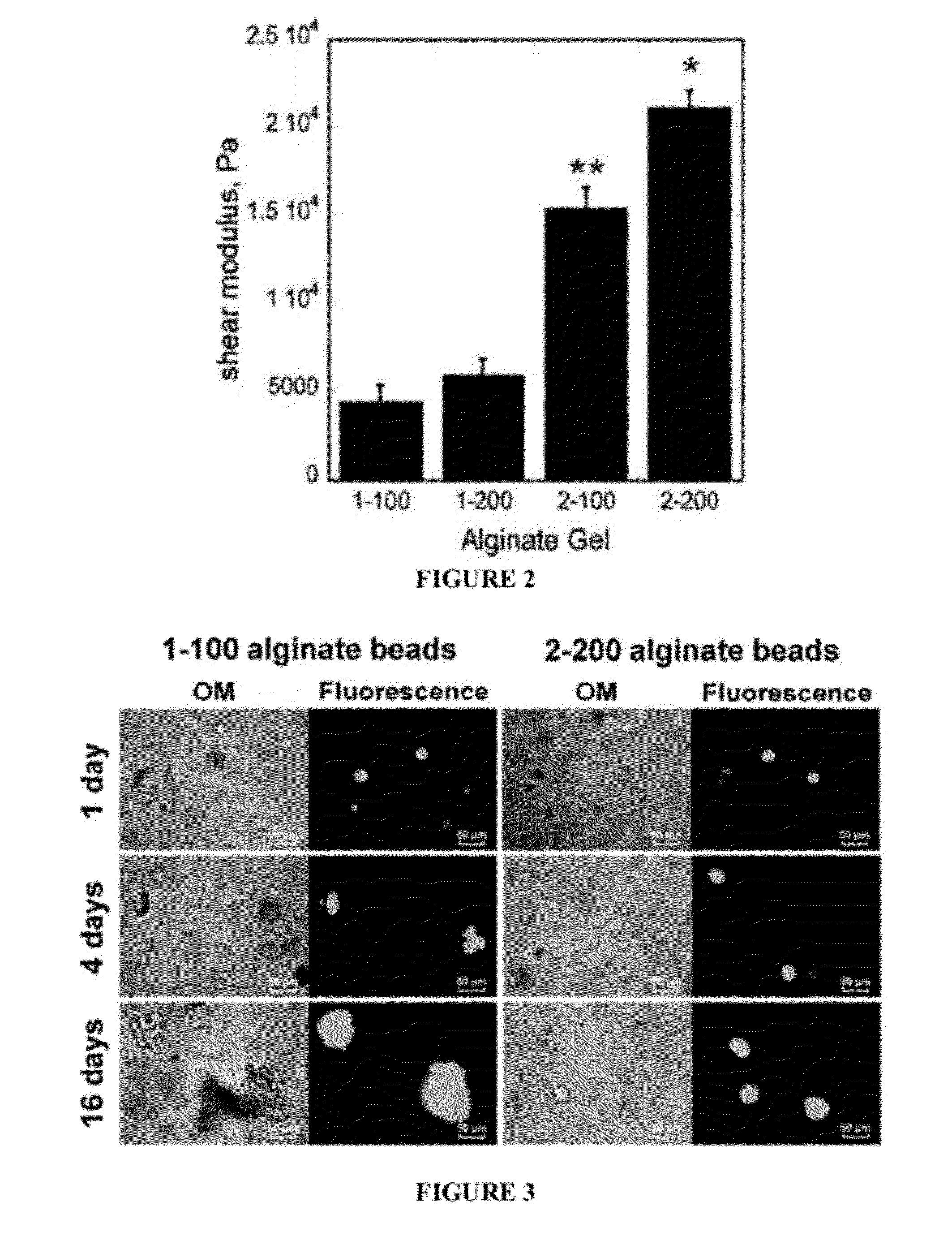 Encapsulated cells and composites thereof