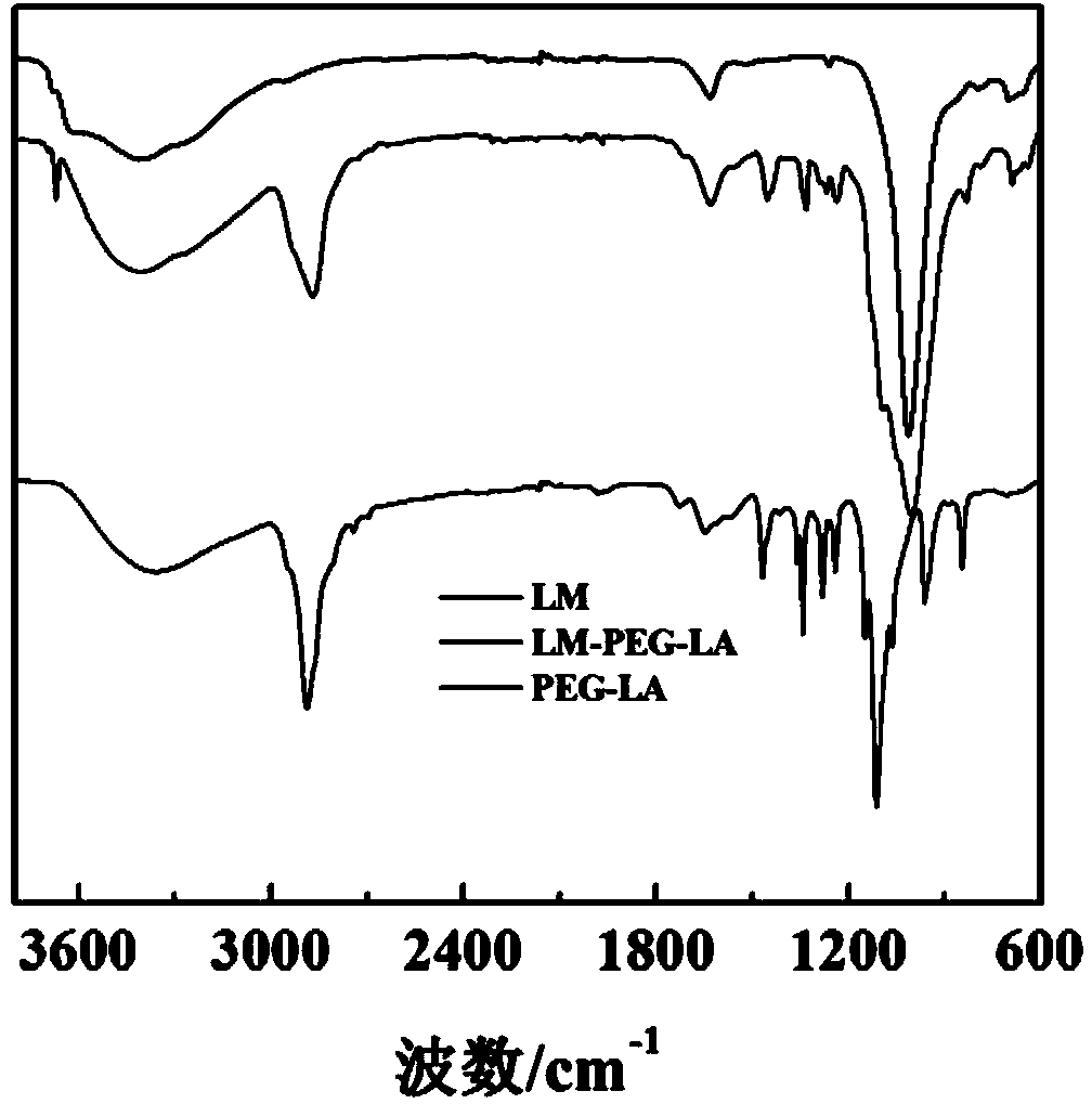 Polyethylene glycol-lactobionic acid modified aminated hectorite nano particle as well as preparation method and application thereof