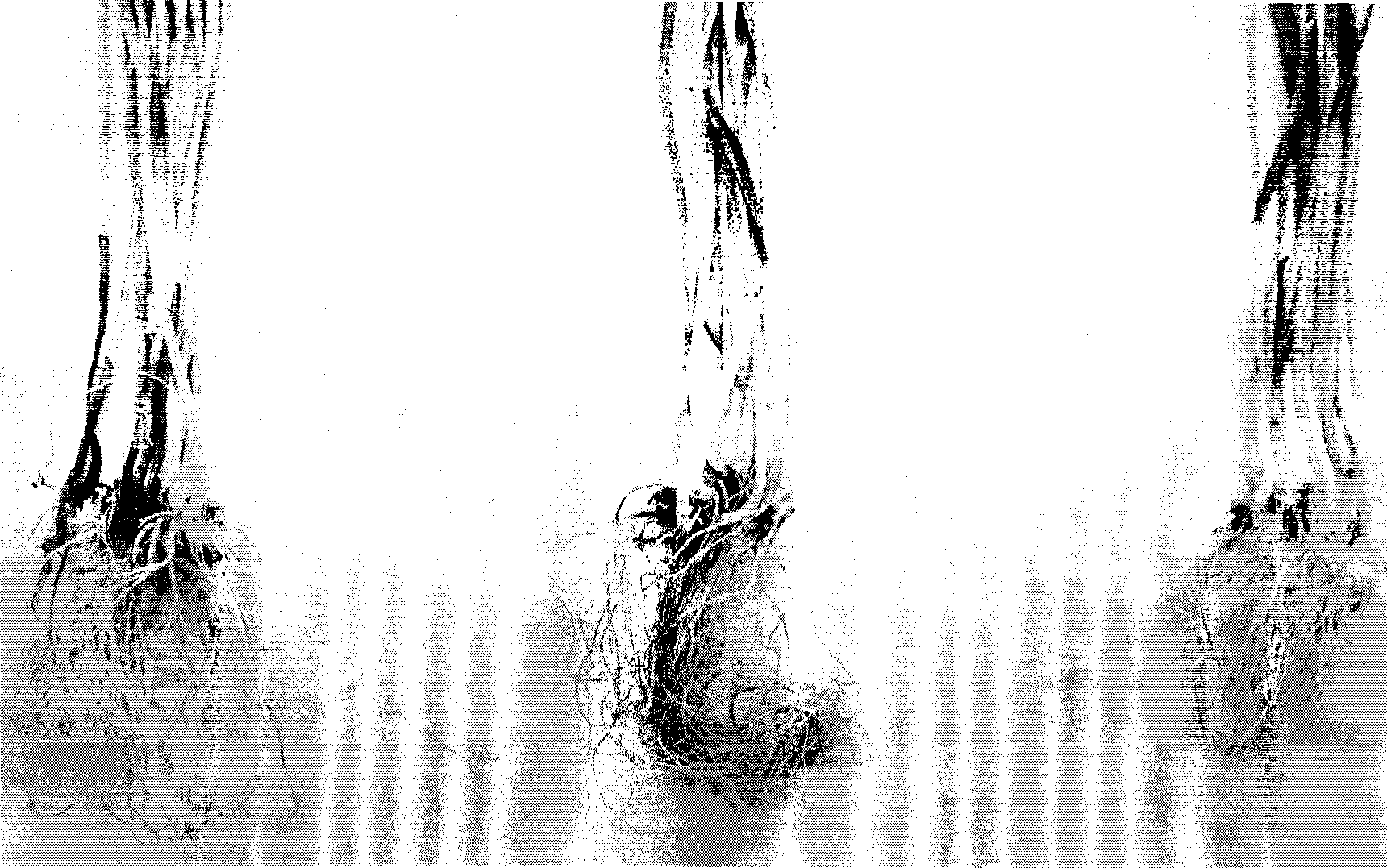 Pseudomonas pseudoalcaligenes MOB13 and use thereof