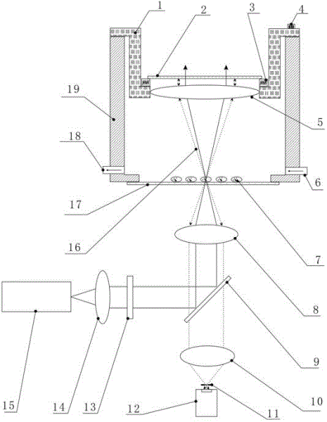 Living cell laser scanning co-focusing microscope imaging system