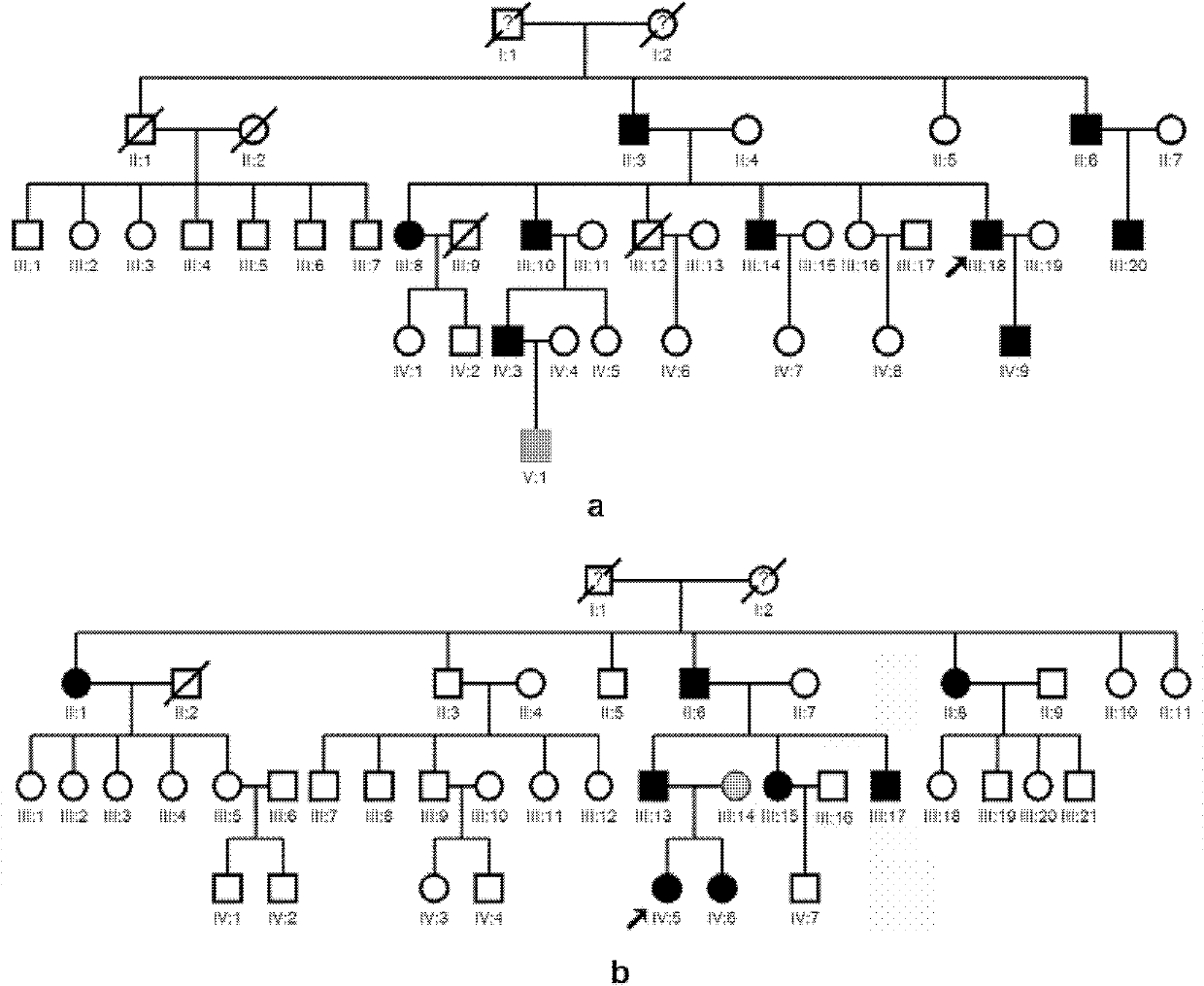 Human idiopathic basal ganglia calcification disease-causing gene and coding protein thereof